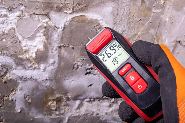 Reliable Moberly, MO Mold Removal Solutions