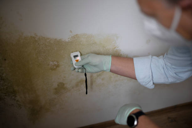Water Damage Restoration in Moberly, MO